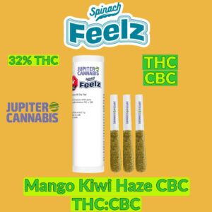 Spinach Feelz Mango Kiwi Haze CBC Infused 3 Pack