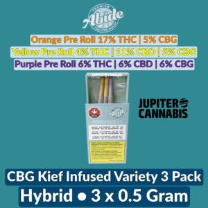 Abide CBG Infused Variety 3 Joint Pack