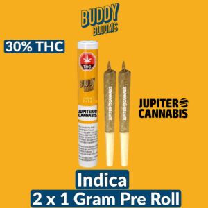 Buddy Blooms Big Buddy Indica 1g Joint 2 Pack
