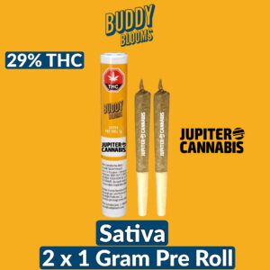 Buddy Blooms Big Buddy Sativa 1g Joint 2 Pack
