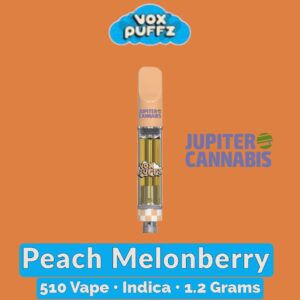 Vox Puffz Peach Melonberry Vape