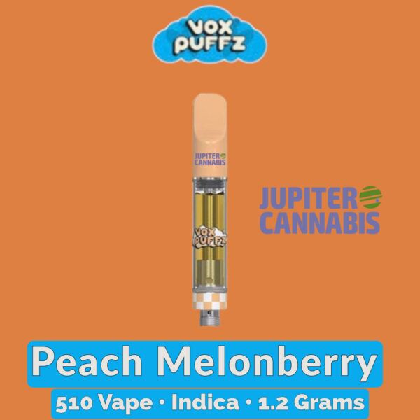 Vox Puffz Peach Melonberry Vape