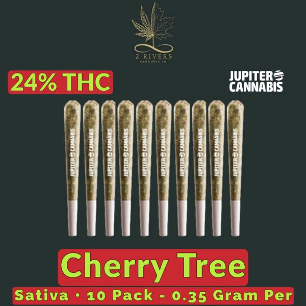 2 Rivers Cherry Tree 10 Pack