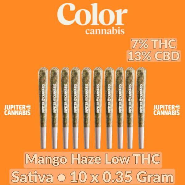 Color Cannabis Mango Haze 10 Pack