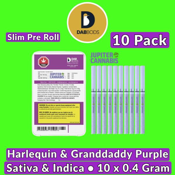 Dab Bods Harlequin & Granddaddy Purple Pre Slim Rolls 10 Pack