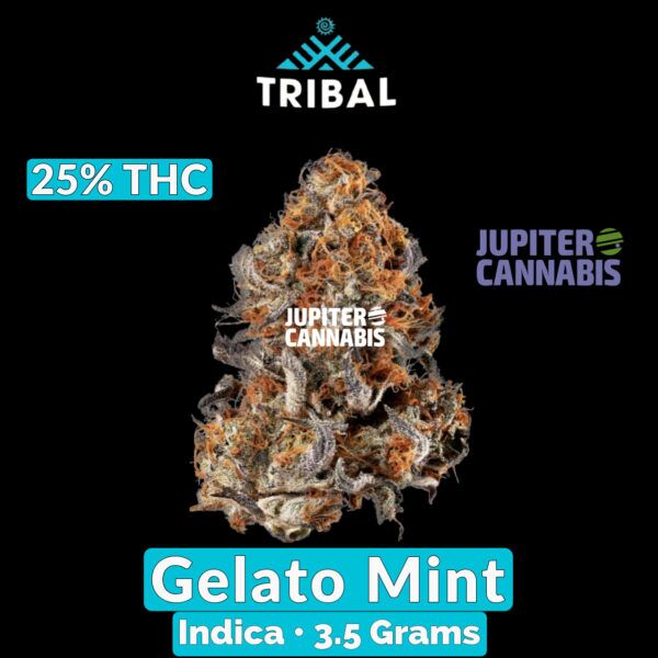 Tribal Galactic Gelato Mint 3.5 g