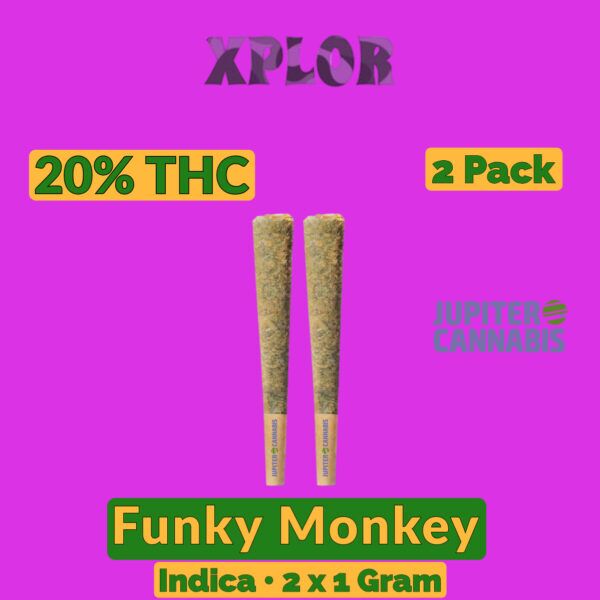 Xplor Funky Monkey 1g Joint 2 Pack