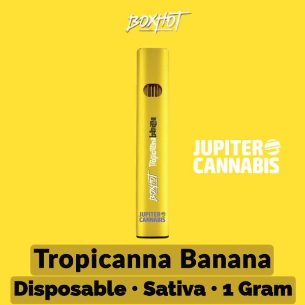 BOXHOT Exotic Tropicanna Banana Disposable Vape