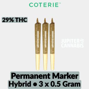 Coterie Permanent Marker 3 Pack