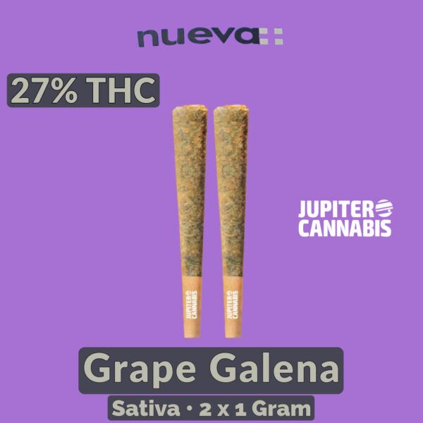 Nueva Grape Galena Pre Rolls 2 Pack