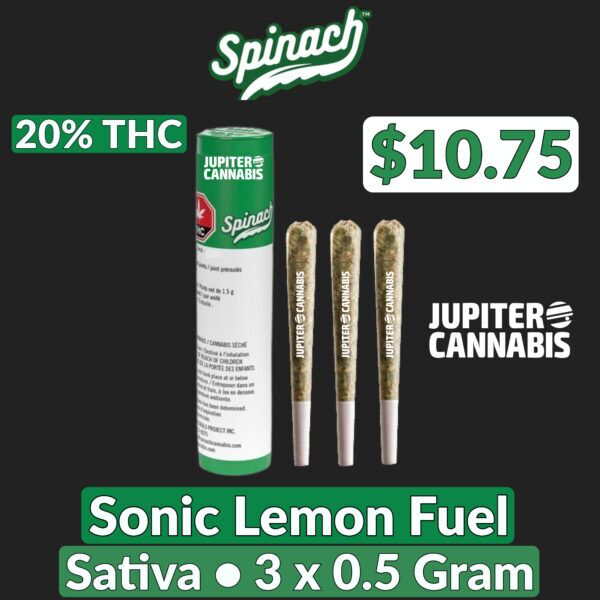 Spinach Sonic Lemon Fuel 3 Pack