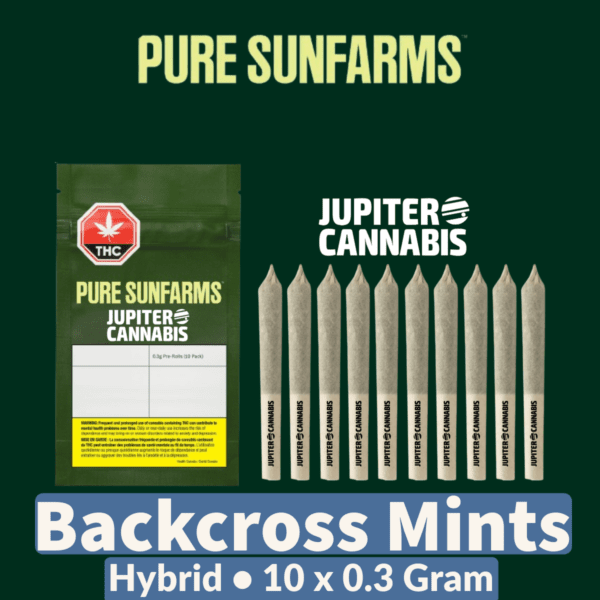Pure Sunfarms Backcross Mints 10 Pack