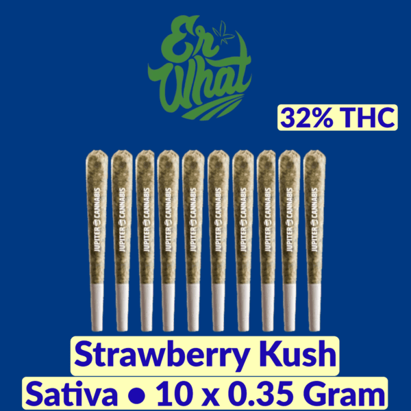 Er'What Strawberry Kush 10 Pack