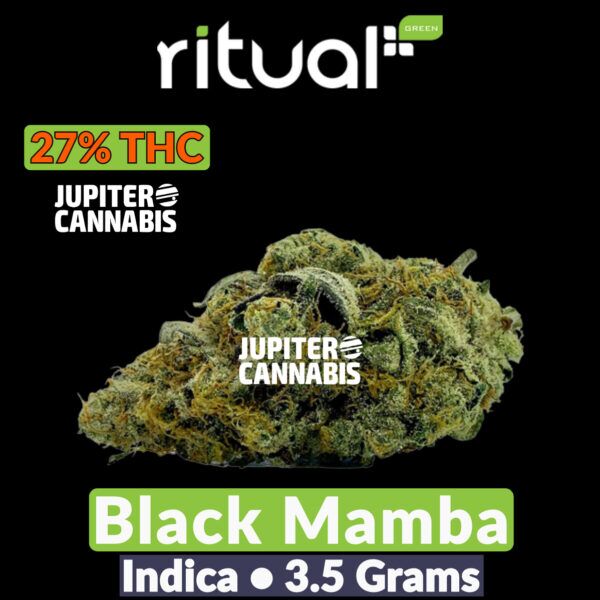 Black Mamba