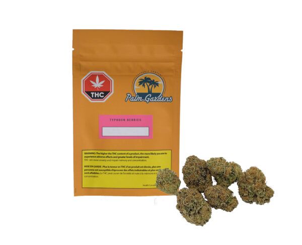 Typhoon Berries *25.3% THC*