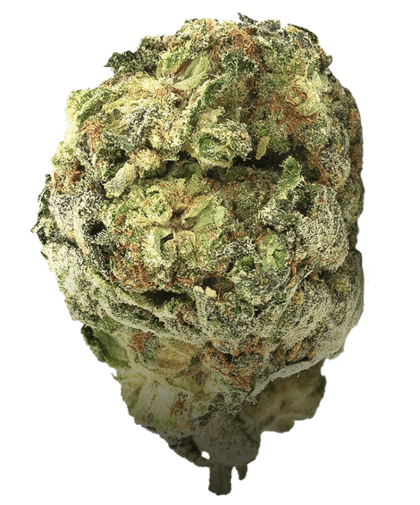 Tier1 MINT CHOKO CHIP Hybrid - 3.5g