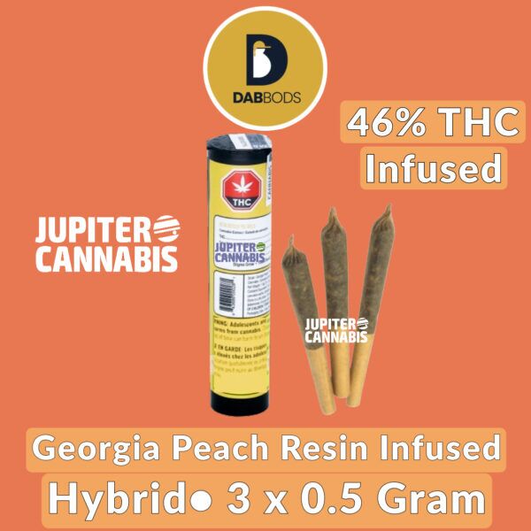 Dab Bods Georgia Peach Resin Infused Pre Rolls