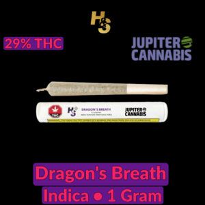 H&S Dragon's Breath 1g Joint