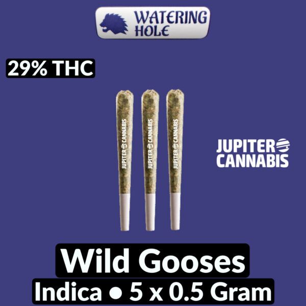 Watering Hole Wild Gooses 5 Pack
