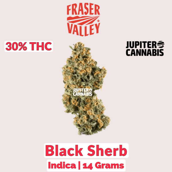 Fraser Valley Black Sherb 14 g