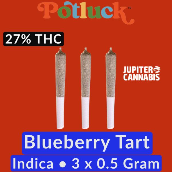 Potluck BLUEBERRY TART PR3X0.5G - Indica