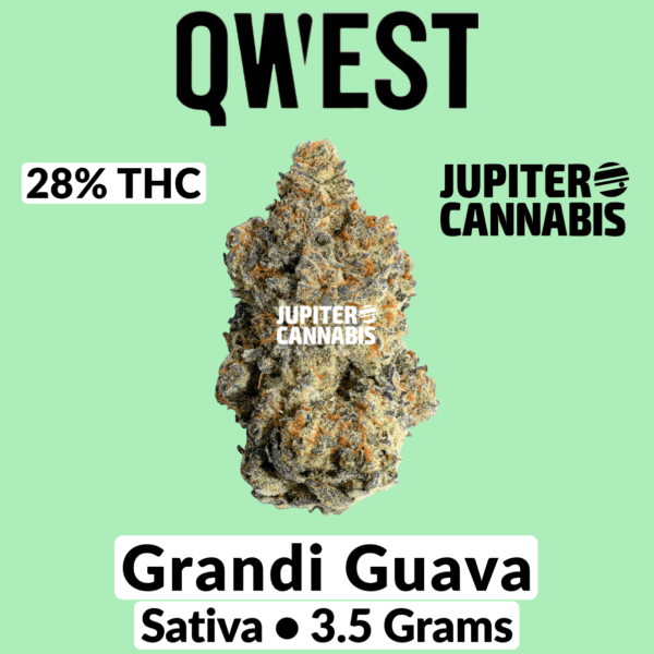 Qwest Grandi Guava 3.5 g
